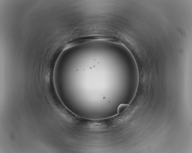 X0000111200315200907011439