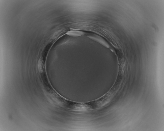 X0000111200316200907011439