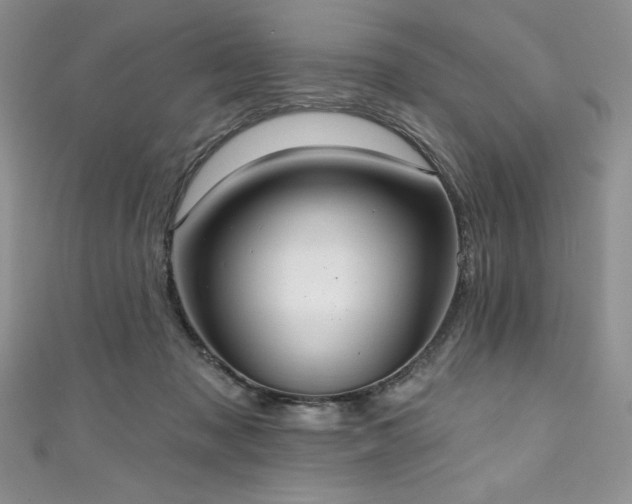 X0000111200317200907011439