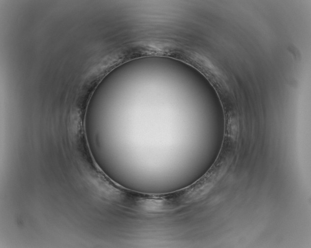 X0000111200318200907011439