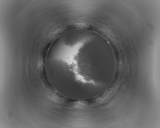 X0000111200320200907011439