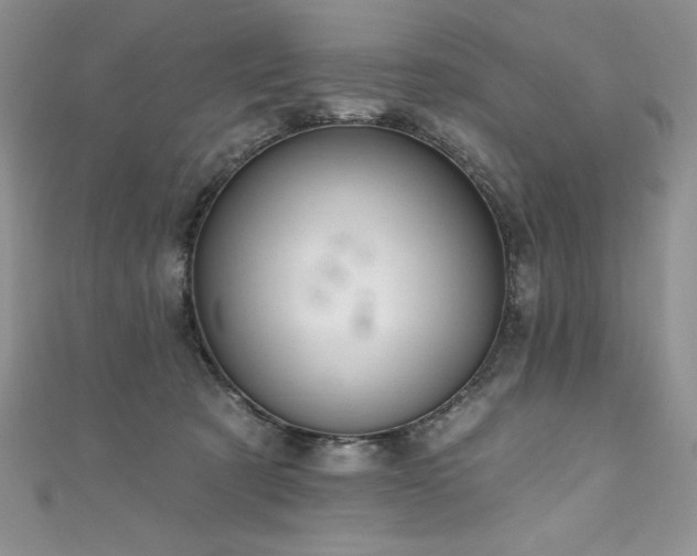 X0000111200321200907011439