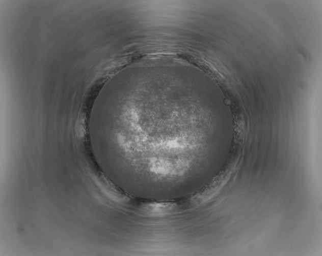 X0000111200323200907011438