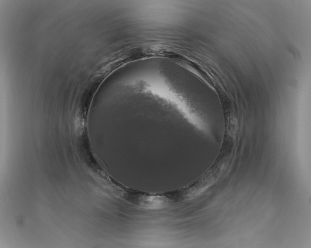 X0000111200324200907011438