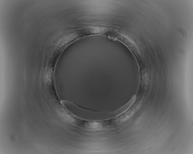 X0000111200325200907011438