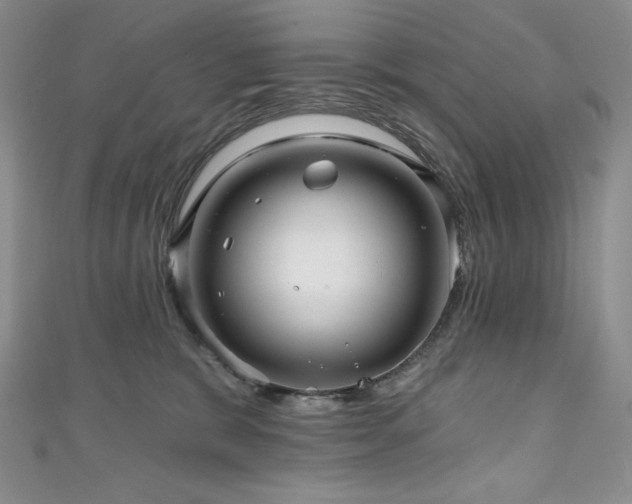 X0000111200327200907011438