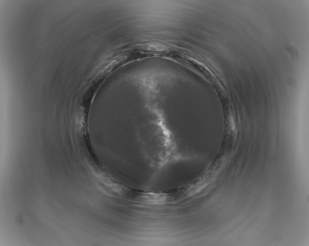 X0000111200328200907011438