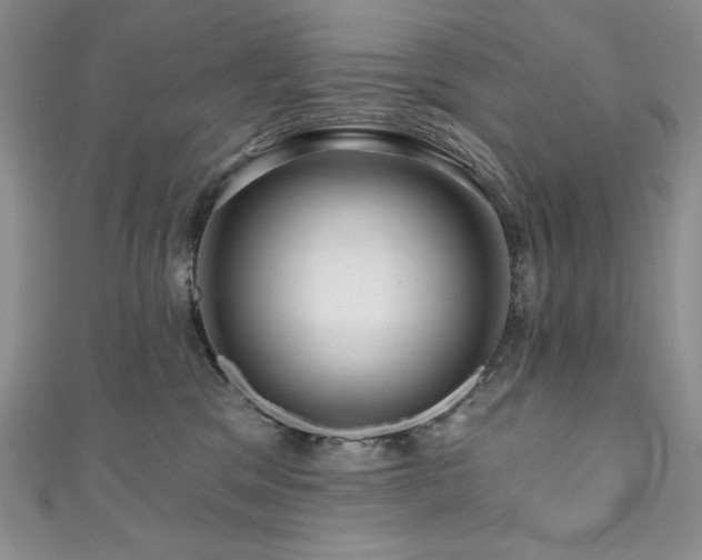 X0000111200329200907011438