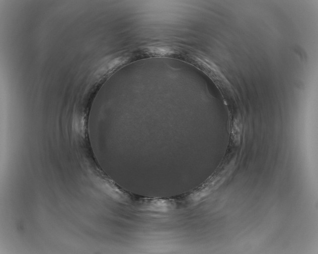 X0000111200330200907011438