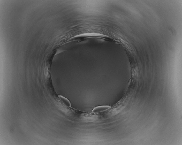 X0000111200331200907011438