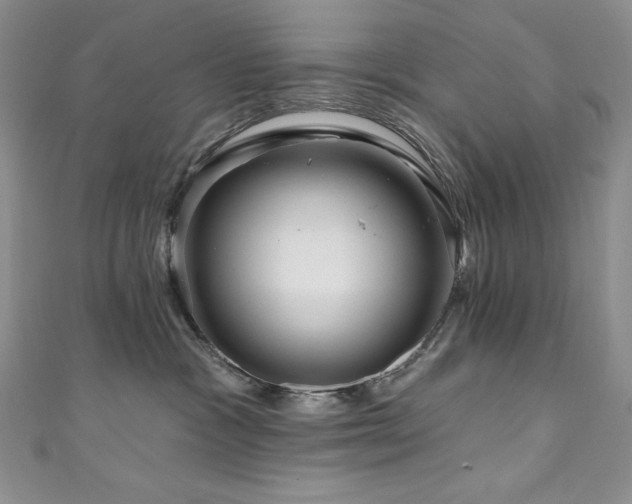 X0000111200333200907011438