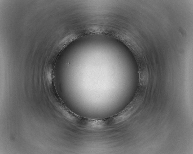 X0000111200334200907011438