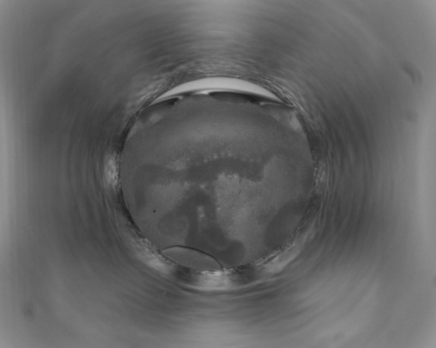 X0000111200335200907011438