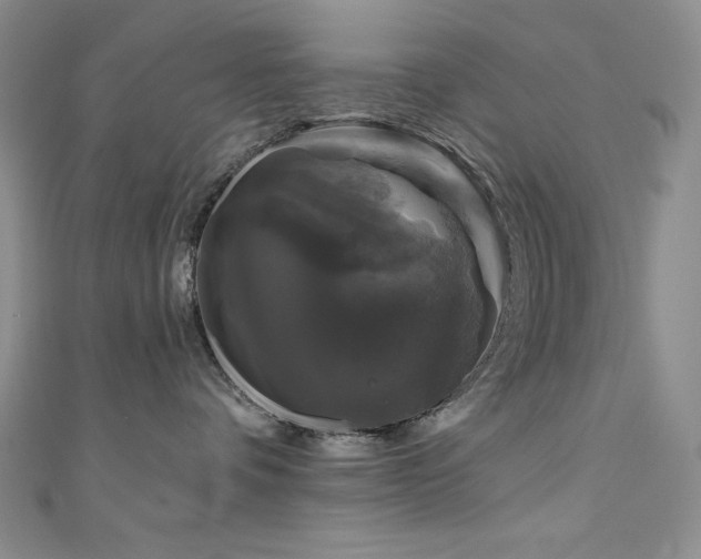 X0000111200336200907011438