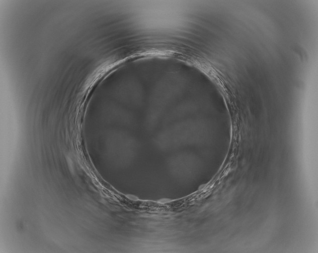 X0000111200337200907011438