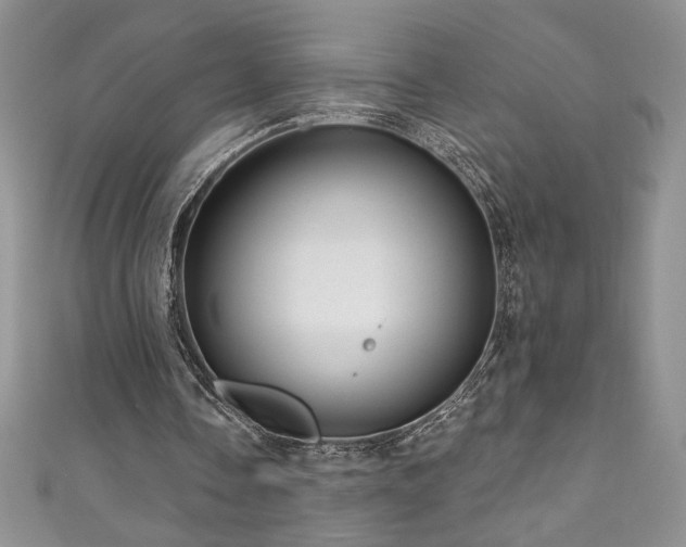 X0000111200338200907011438