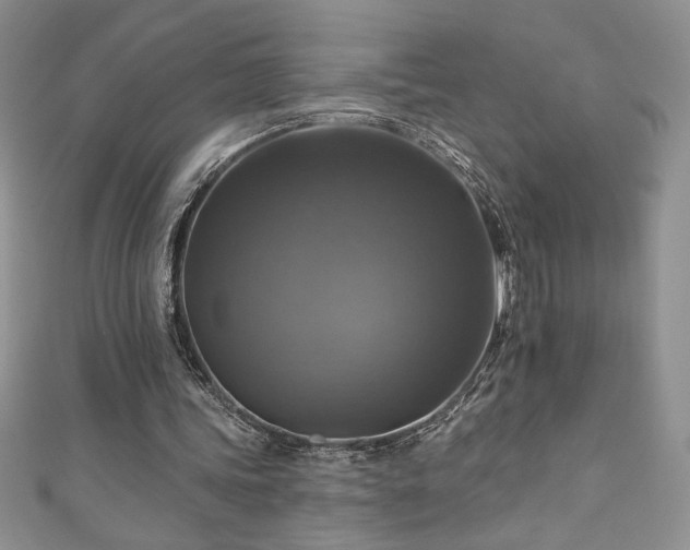 X0000111200339200907011438