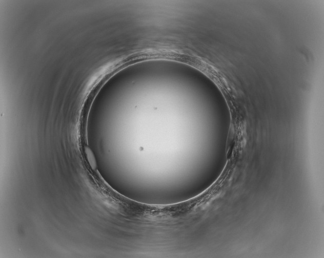 X0000111200340200907011438