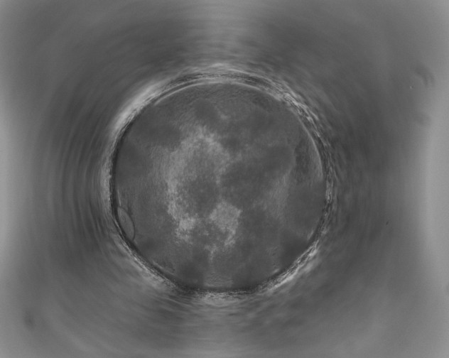 X0000111200341200907011438