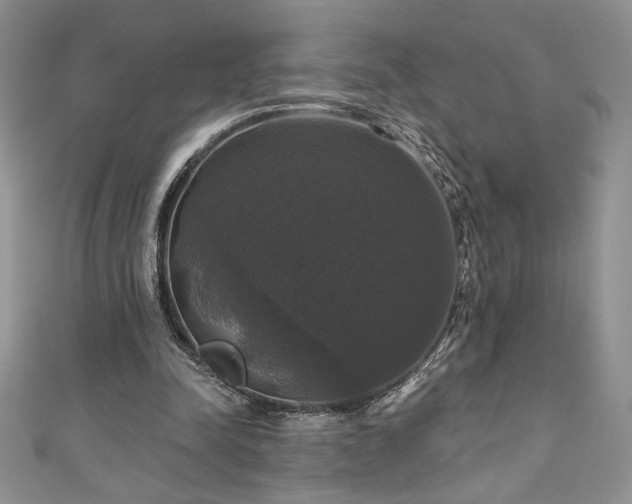 X0000111200342200907011438