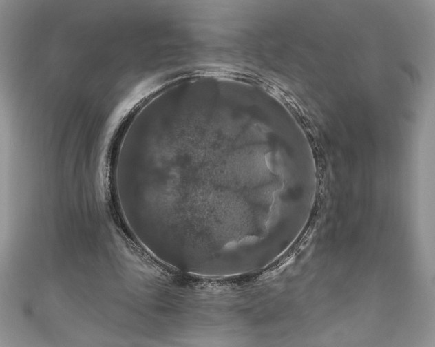 X0000111200343200907011438