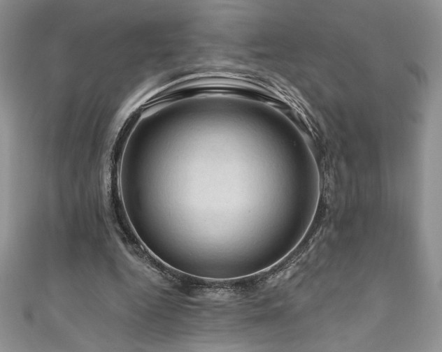 X0000111200344200907011438