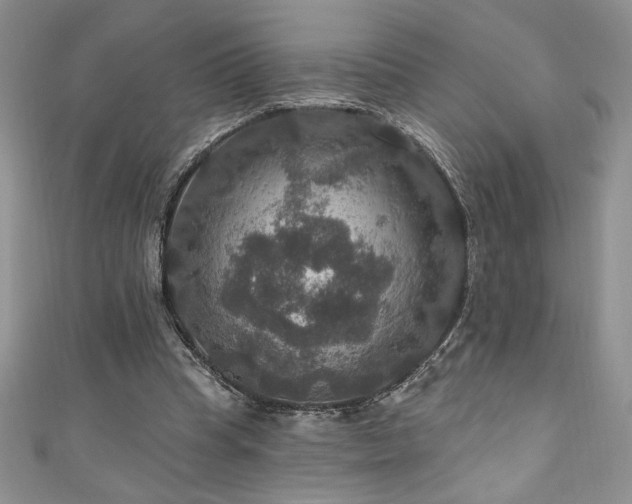 X0000111200345200907011438