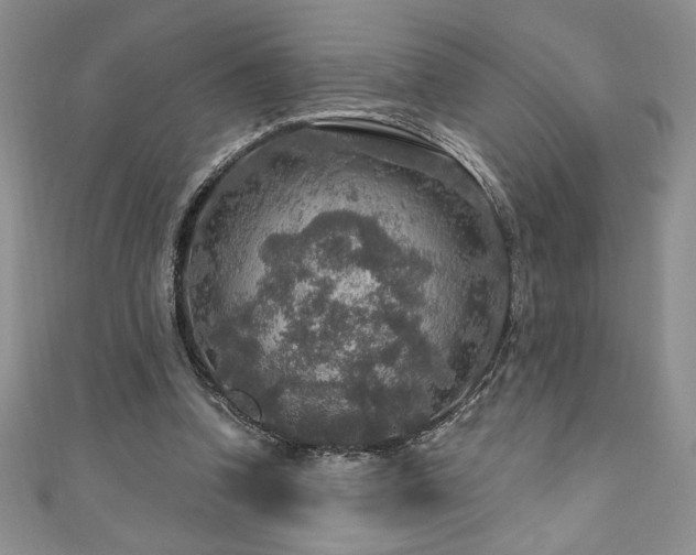 X0000111200346200907011438