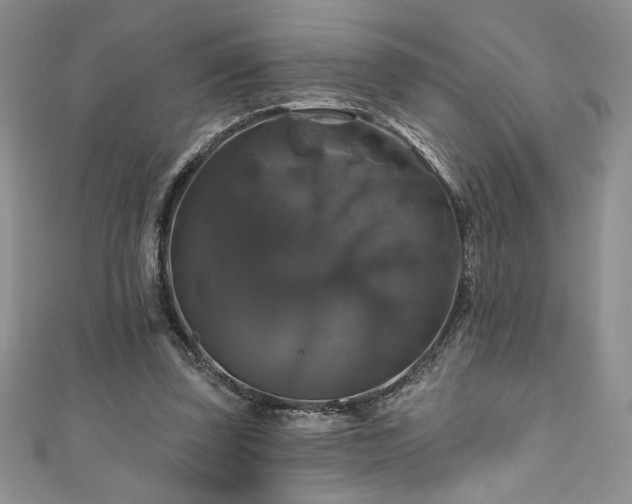 X0000111200347200907011438