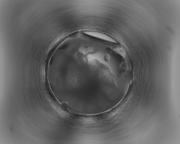 X0000111200349200907011438