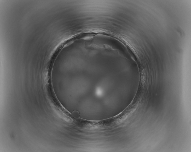 X0000111200351200907011438