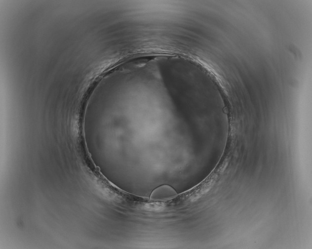 X0000111200353200907011438