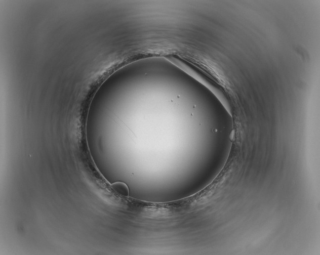 X0000111200354200907011438