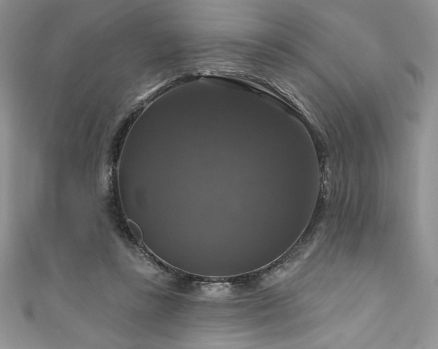 X0000111200355200907011438