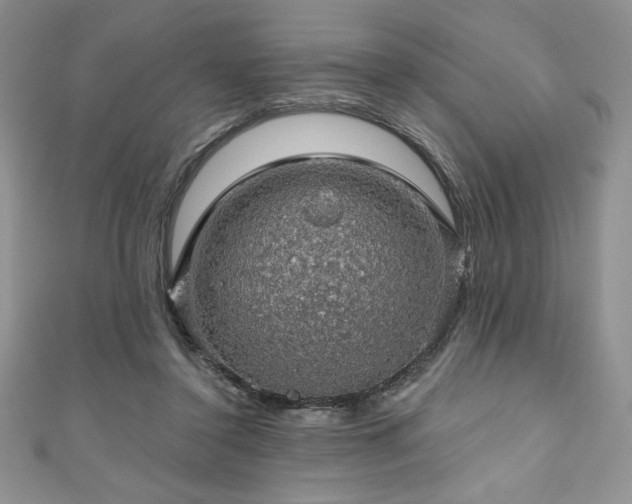 X0000111200356200907011438