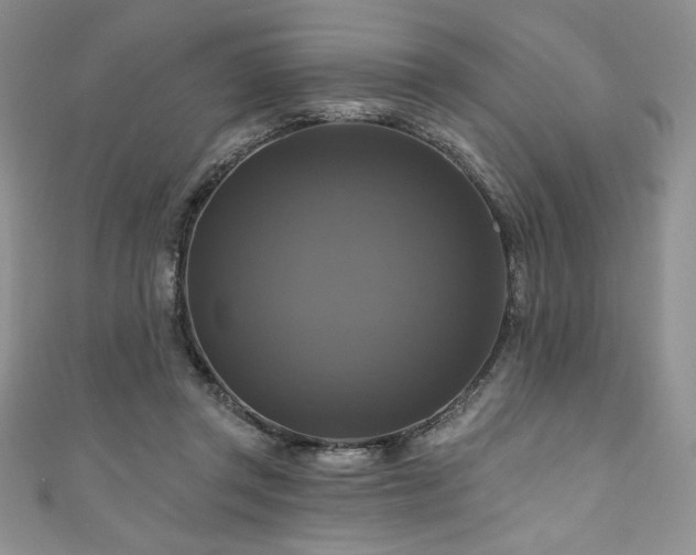 X0000111200357200907011438