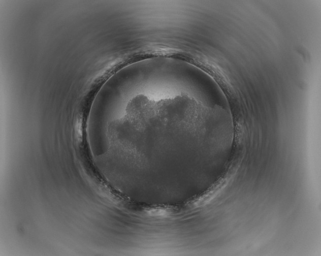 X0000111200358200907011438