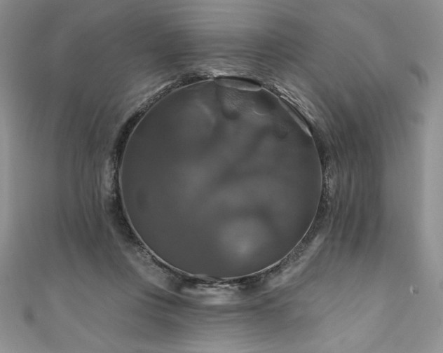 X0000111200359200907011438