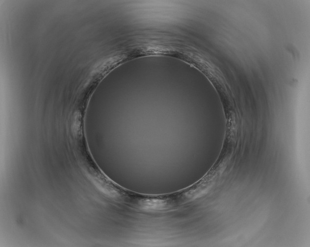 X0000111200361200907011438