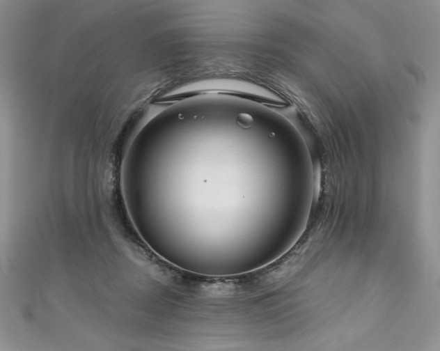 X0000111200362200907011438