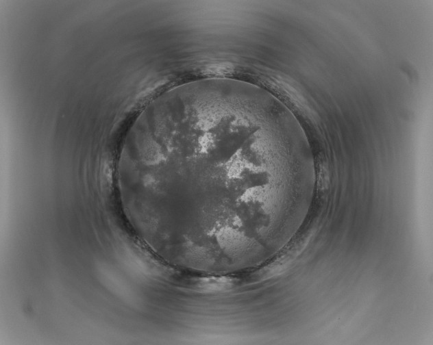 X0000111200363200907011438