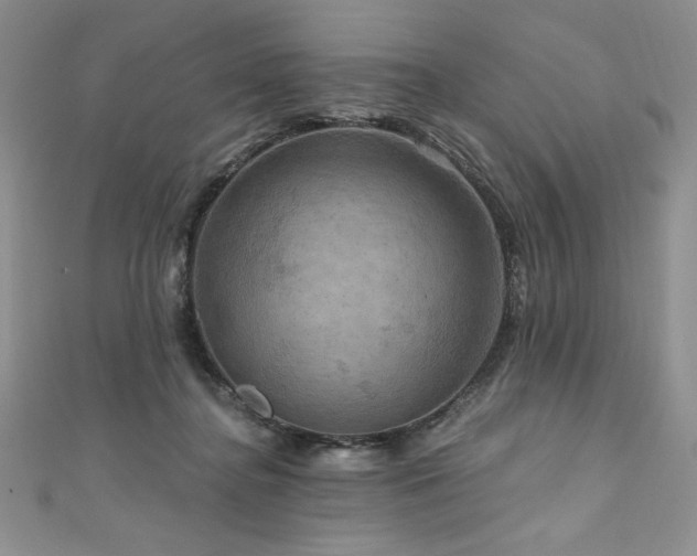 X0000111200364200907011438