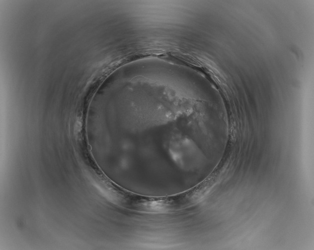 X0000111200365200907011438