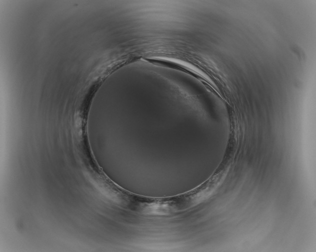 X0000111200366200907011438