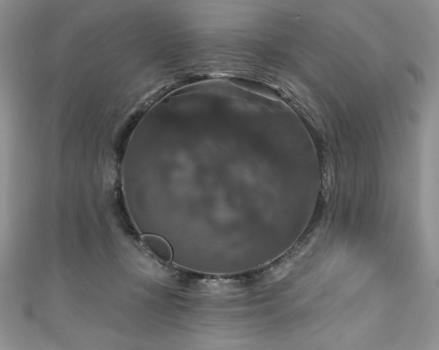 X0000111200367200907011438