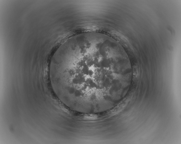 X0000111200369200907011438