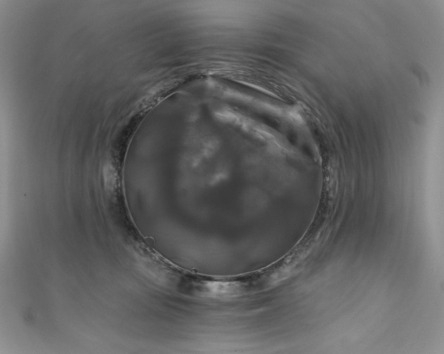 X0000111200371200907011438