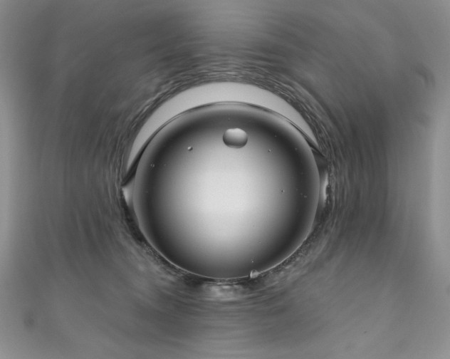 X0000111200372200907011438