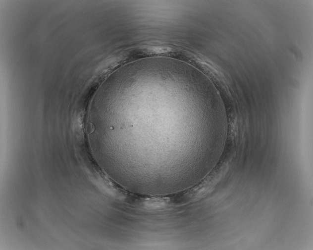 X0000111200373200907011438