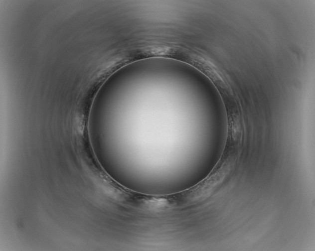 X0000111200374200907011438